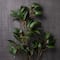 Osmanthus Stem by Ashland®